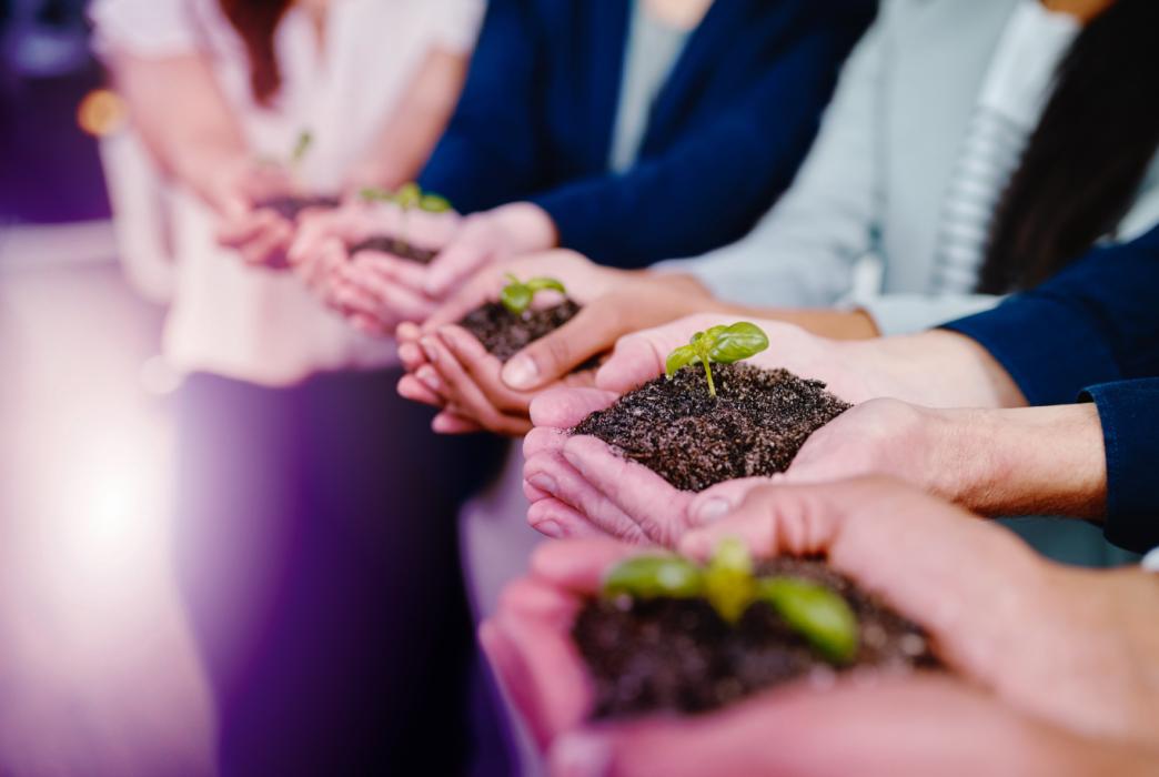 mains tenant des jeunes pousses et de la terre