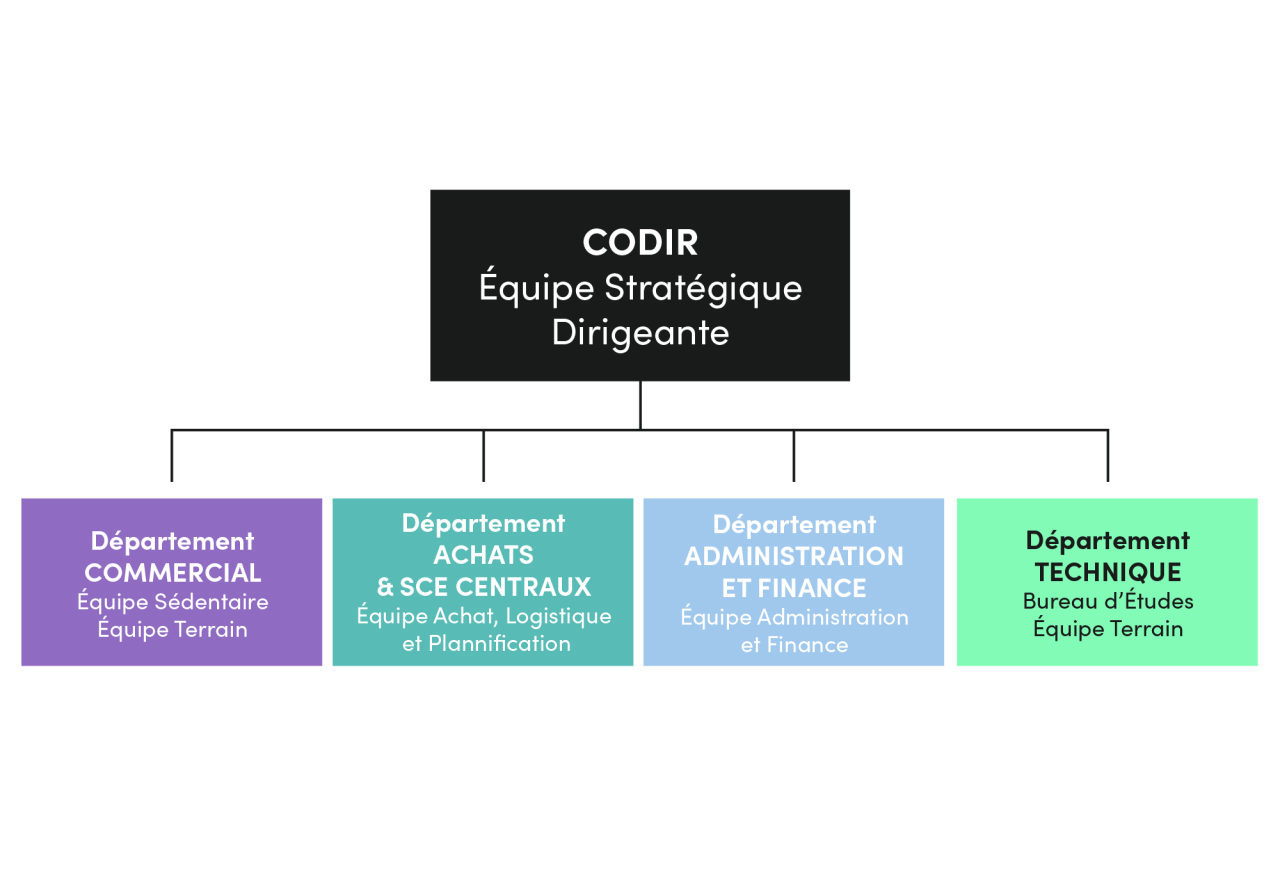 Organigramme TANDEM